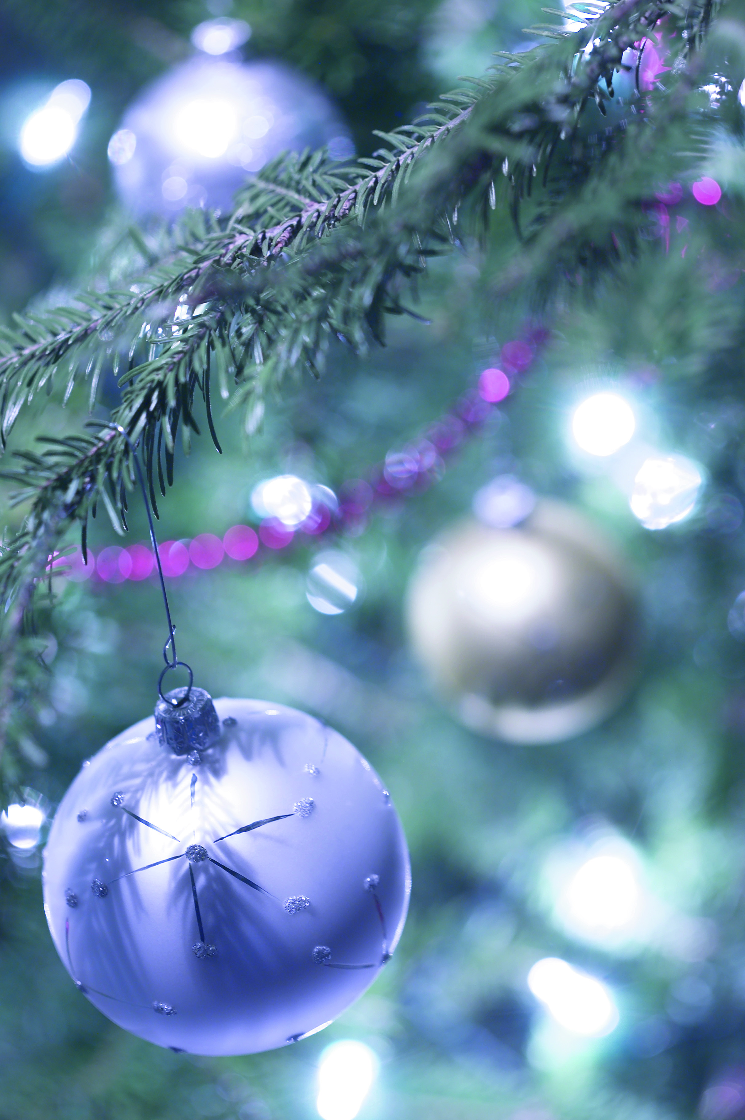 Celebrate the Season with Paul Davies Kitchen & Appliances